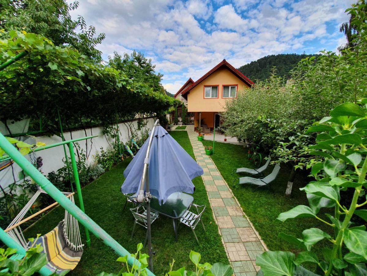 ホテル Casa Lucky Rîşnov エクステリア 写真