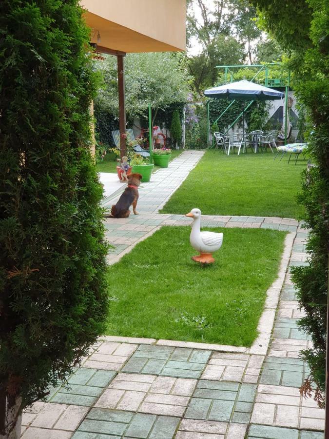 ホテル Casa Lucky Rîşnov エクステリア 写真
